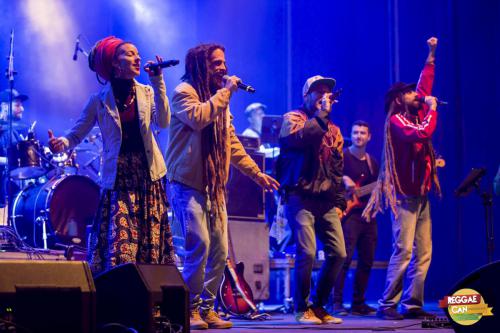 baja_REGGAECAN19 LL 264