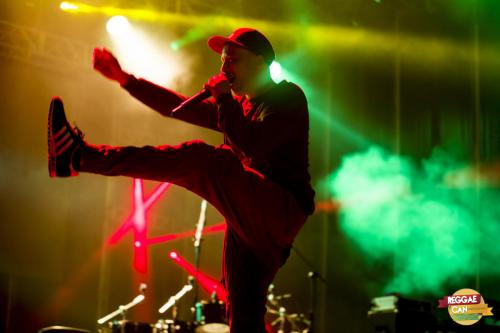 baja_REGGAECAN19 LL 404